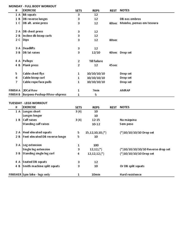 Obi Vincent Workout Pdf Pdf Human Body Recreation