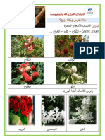 النباتات المغروسة و المزروعة ملخص PDF