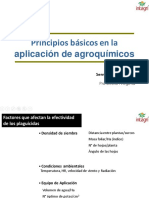 Principios Basicos en La Aplicacion de Agroquimicos (Quinones) PDF