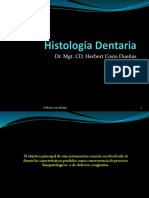 Histología Dentaria