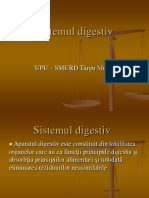 Sistemul Digestiv