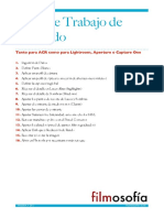 Workflow Revelado PDF