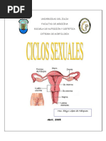 Ciclos Sexuales PDF