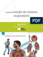 Ctic9 I1 Constituição Do Sistema Respiratório