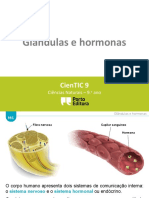 Ctic9 M1 Glândulas e Hormonas