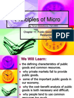 Public Goods and Common Reources - Micro 