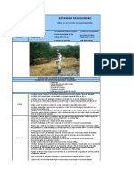 Estandar de Seguridad Guadañadora
