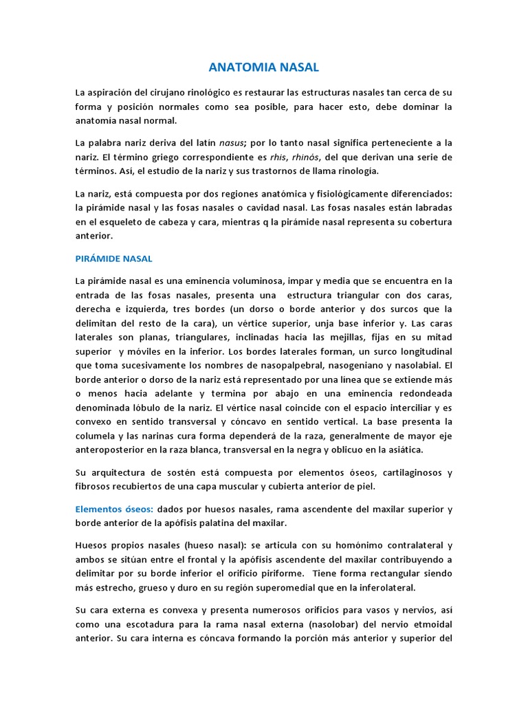 Anatomía de la Nariz y sus Estructuras | PDF | Anatomia animal ...