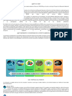 Conceptualización y Generalidades Del Prae