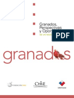 Estudio de Granada