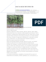 Beneficios para La Salud Del Árbol de Fertilidad, Ewe Akoko