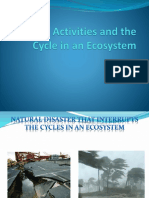 Human Activities and The Cycle in An Ecosystem