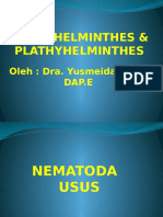 Parasitologi Nemathelminthes & Plathyhelminthes - PPSX