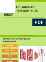 Sistem Organisasi Kehidupan Makhluk Hidup