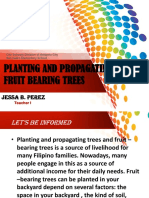 Planting and Propagating Fruit Trees