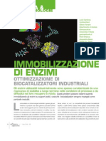 Immobilizzazione Enzimi