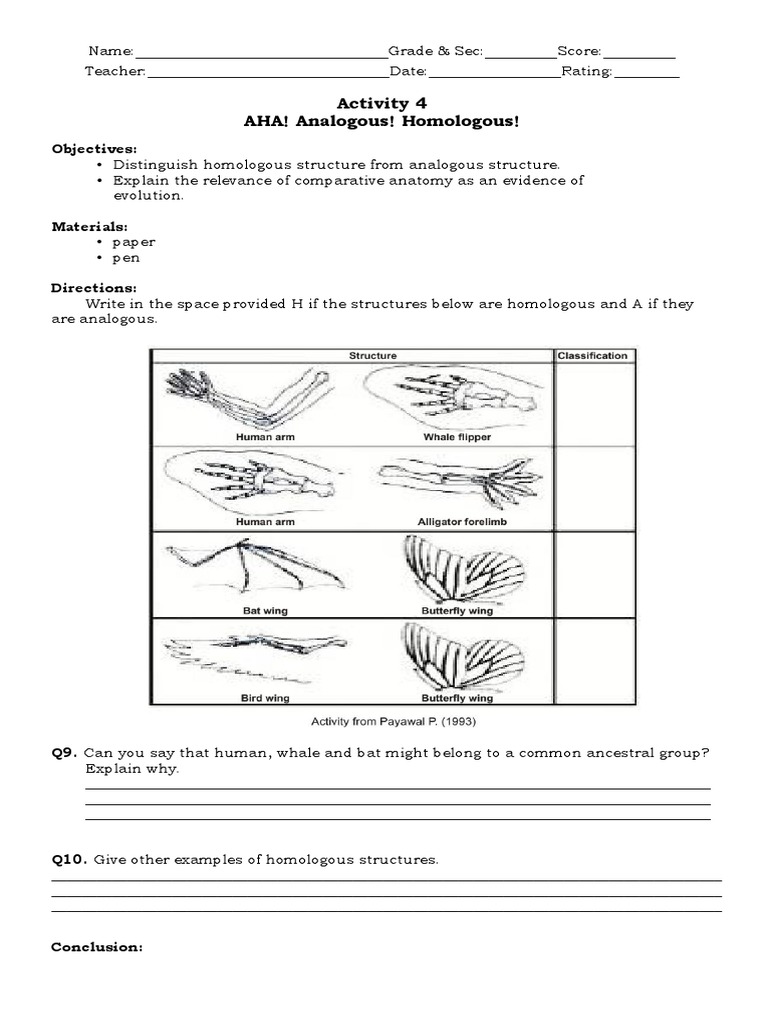 PPT - Homologous and Analagous Structures PowerPoint Presentation, free  download - ID:2436442, image size:768x1024