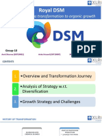 Royal DSM - From Continous Transformation To Organic Growth