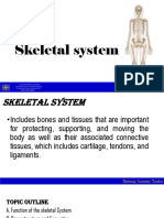 SKELETAL SYSTEM