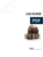 Lucas The Spider