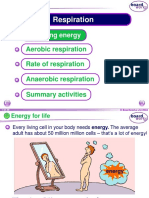 cell respiration