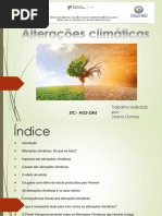 Alterações climáticas STC NG2 DR4- Liliana Gomes.pptx