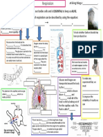 Respiration Revision Mindmap