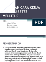 P17111173025-JihanRAisy (Obat Diabet)