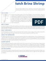 How-to-Hatch-Brine-Shrimp.pdf