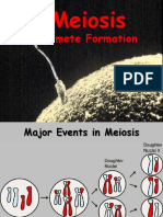 Meiosis PPSX