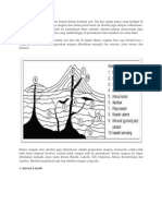 Jenis Intrusi dan Ekstrusi Magma