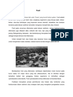 Fosil PDF