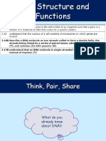 DNA structure and functions JNL.ppt