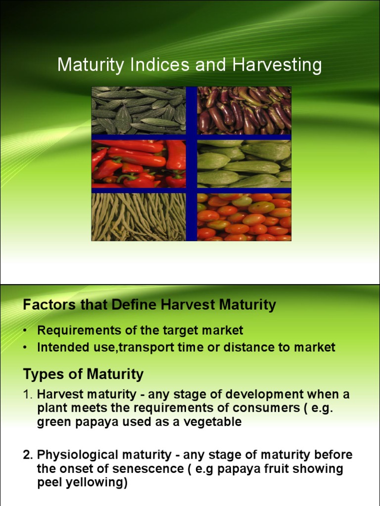 Factors that Define Harvest Maturity and Maturity Indices PDF Banana Fruit