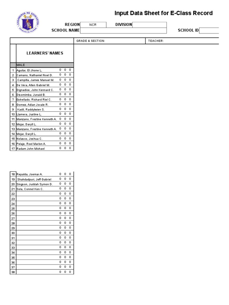 E-Class Record Input Data Sheet | PDF | Philippines | Regulation