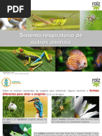 re82138_cv6_sistema_respiratorio_animais