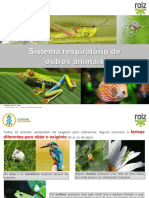 re82138_cv6_sistema_respiratorio_animais