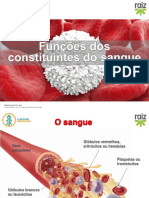 re82138_cv6_funcoes_constituintes_sangue