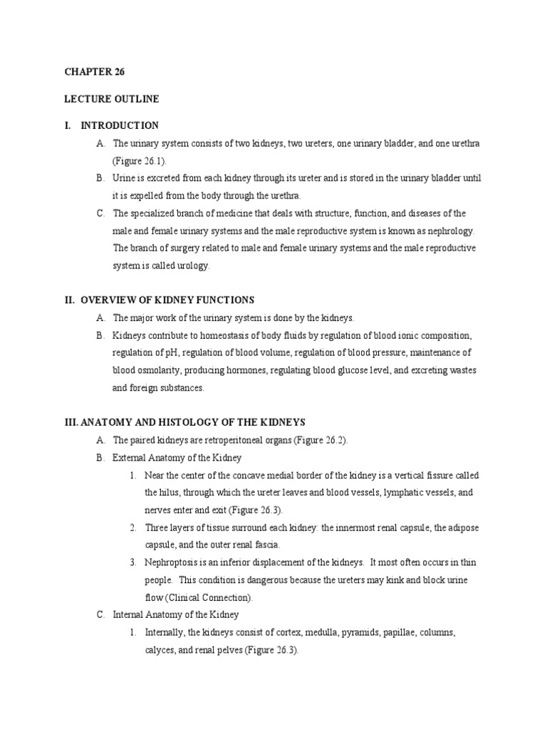 Anatomy visual data 2
