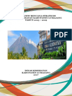 Review Renstra 2015-2019 PDF