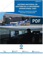 MANUAL DEL SSP ARGENTINO.pdf