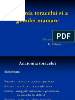 2496020-anatomia-toracelui-si-glanda-mamara.ppt