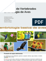 Zoologia de Vertebrados Embriologia de Aves