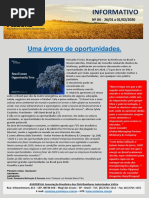 Informativo 04 