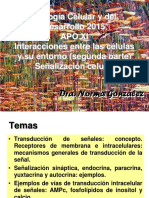 APO 10 BC y D Algunas im��genes (te��rico).pdf