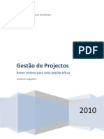 Gestão de Projectos: Breve Síntese para Uma Gestão Eficaz