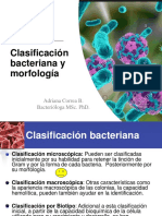 Bacterias 1 2019 PDF