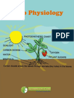 Plant physiology TNAU.pdf