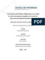 Pariona RS PDF