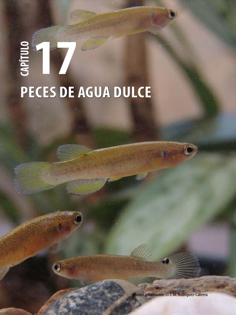 326-347 - Libro - Biodiversidad - Cuba - Capítulo 17 | PDF | Pescado | Cuba